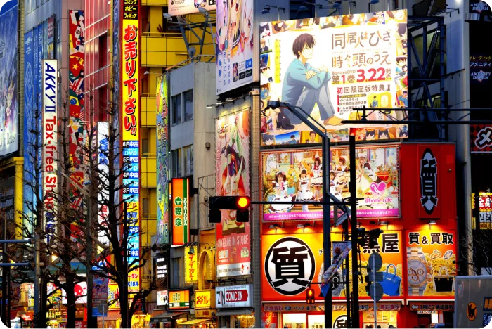 Une photo d'Akihabara